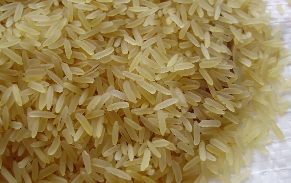 Parboiled Rice Making Process Nextech Solutions