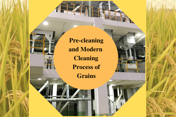 grain cleaning business plan